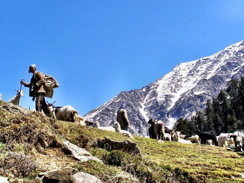 dharmshala trekking destination