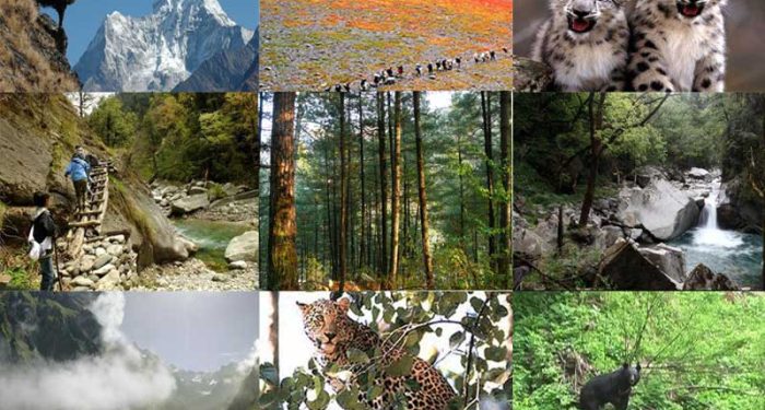 Great-Himalayan-National-Park Great-Himalayan-National-Park